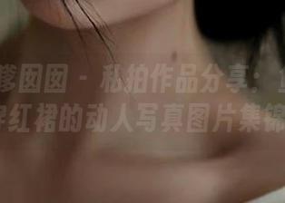 Feilin嗲囡囡 – 私拍作品分享：鱼子酱fish穿红裙的动人写真图片集锦.txt