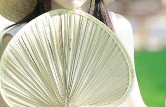 TouTiao头条女神 – 樊安妮女神写真作品合集：精选展现她的风格与优雅气质.txt