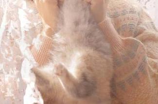 UGirls尤果网 – 探索王幼贞的私拍写真，剧情与美感交织的视觉盛宴.txt