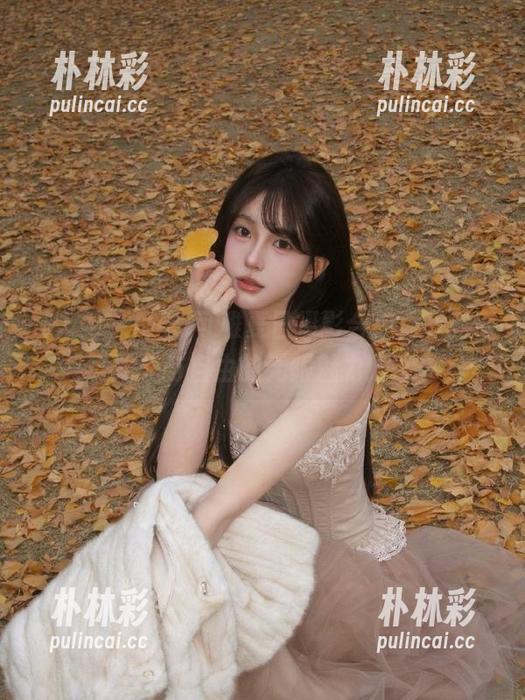 秀人网 - Niki可雅夏日摄影合集，下载享受阳光与自由的无限魅力！.txt