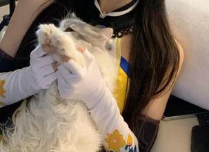 秀人网 – 一起来观看安琪的连体衣作品，探索时尚与性感的完美结合吧！.txt