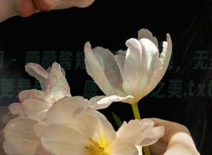 秀人网 – 薇薇酱短裙写真图集，无圣光后更显自然，感受心灵之美.txt
