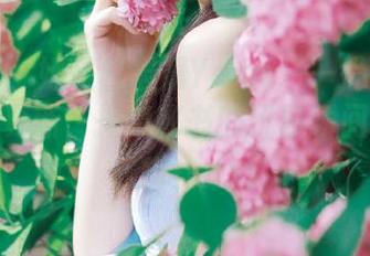 语画界 – 她是杨晨晨Yome——私密写真作品集更新，揭晓秘书的优雅瞬间，速来欣赏！.txt